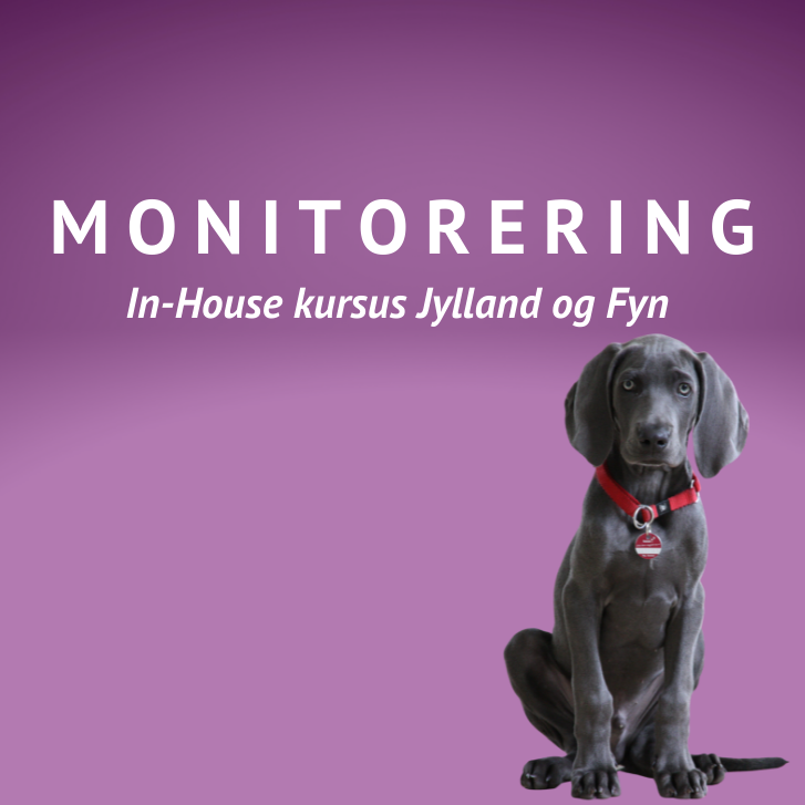 Kursus monitorering in house 